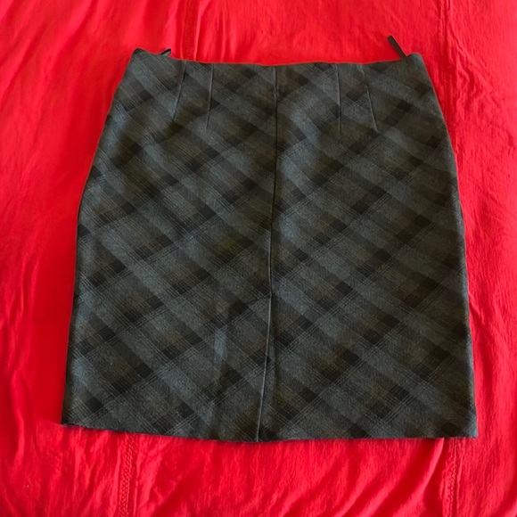 Amenda and Chelsea pull on skirt. Plus size 14. - Picture 2 of 7
